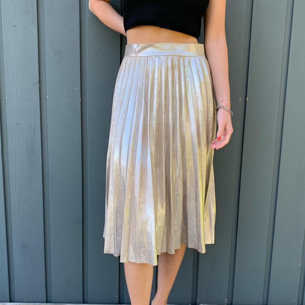 Zara skirt